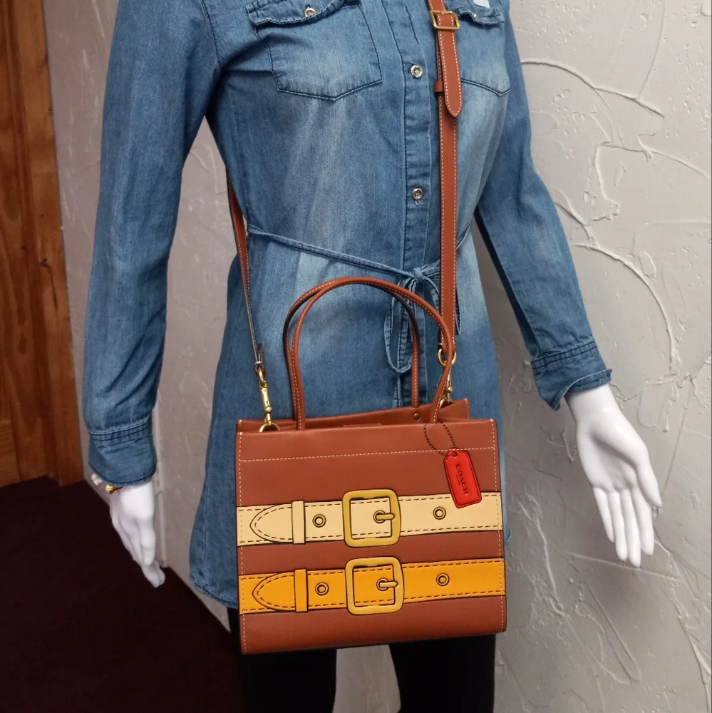 Cashin Carry Bag 22 With Trompe L'oeil Print, Saddle Multi 2022 Runway